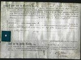 Deed by Married Women - Frances Amphlett-Original Ancestry