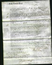 Court of Common Pleas - Phoebe Howell-Original Ancestry