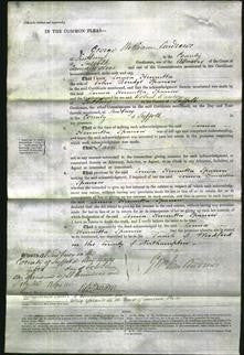 Court of Common Pleas - Louisa Henrietta Sparrow-Original Ancestry