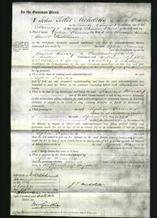 Court of Common Pleas - Sophia Frances Shuldham-Original Ancestry