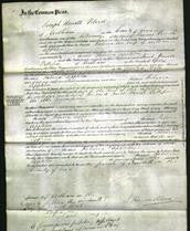 Court of Common Pleas - Rebecca Appleton-Original Ancestry