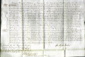 Court of Common Pleas - Beata Prior Stead-Original Ancestry