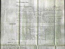 Court of Common Pleas - Mary Ann Watson-Original Ancestry