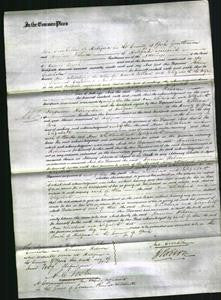 Court of Common Pleas - Ann Whitehead Wilson and Elizabeth Crossland-Original Ancestry