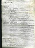 Court of Common Pleas - Catharine Crosthwait-Original Ancestry