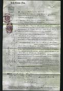 Court of Common Pleas - Rose Annie Challinson Singleton-Original Ancestry