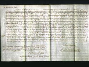 Court of Common Pleas - Elizabeth Crosland-Original Ancestry