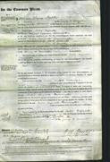 Court of Common Pleas - Julia Augusta Warmington-Original Ancestry