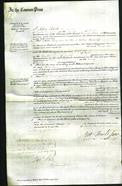 Court of Common Pleas - Mary Jane Tunnicliff-Original Ancestry