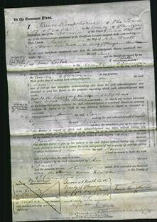 Court of Common Pleas - Jane Powell-Original Ancestry