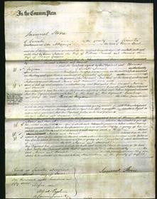 Court ofCommon Pleas - Maria French and Harriet Greaves-Original Ancestry