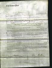 Court of Common Pleas - Eleanor Ashby-Original Ancestry