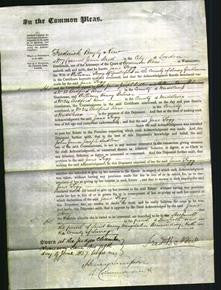 Court of Common Pleas - Jane Fogg-Original Ancestry