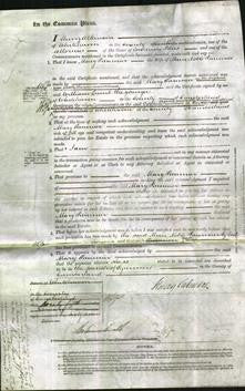 Court of Common Pleas - Mary Paumier-Original Ancestry