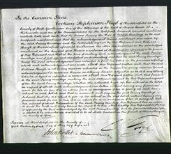 Court of Common Pleas - Fanny Armitage-Original Ancestry