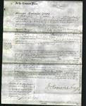 Court of Common Pleas - Agnes Stockdale Hodgson-Original Ancestry