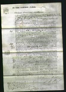 Court of Common Pleas - Jane Whitehouse Ponting and Maria Tucker-Original Ancestry