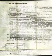 Court of Common Pleas - Sarah Melville Holt-Original Ancestry