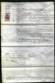 Court of Common Pleas - Sarah Eliza New-Original Ancestry