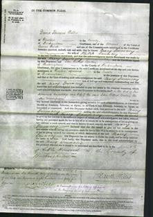 Court of Common Pleas - Mary Dauncey-Original Ancestry