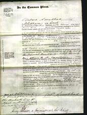 Court of Common Pleas - Elizabeth Wilson-Original Ancestry