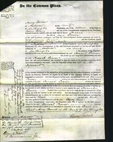 Court of Common Pleas - Hannah Purver-Original Ancestry