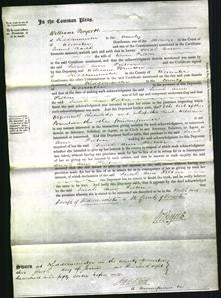 Court of Common Pleas - Sarah Ann Felton-Original Ancestry