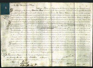 Court of Common Pleas - Catherine Johnson-Original Ancestry