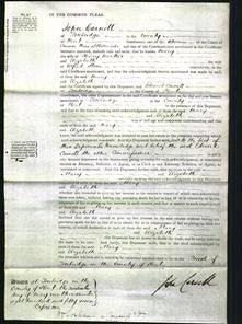 Court of Common Pleas - Mary Hoakes and Elizabeta Stone-Original Ancestry