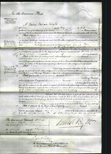 Court of Common Pleas - Frances Silversides, Mary Wood-Original Ancestry