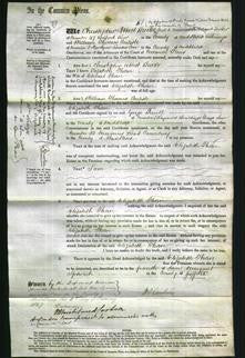 Court of Common Pleas - Elizabeth Thorn-Original Ancestry