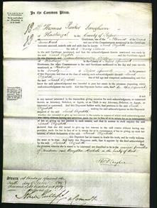 Court of Common Pleas - Sarah Elizabeth Selmes-Original Ancestry