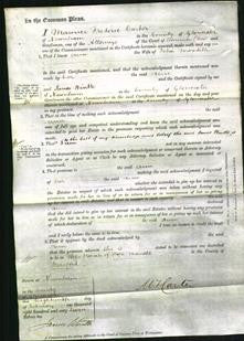 Court of Common Pleas - Ann Meredith-Original Ancestry