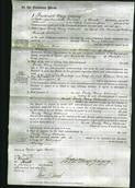 Court of Common Pleas - Emily Mary Lichmore-Original Ancestry