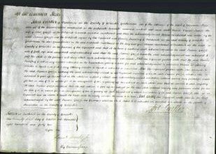 Court of Common Pleas - Frances Grizzle-Original Ancestry