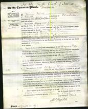 Court of Common Pleas - Margaret Eliza Jones-Original Ancestry