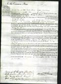 Court of Common Pleas - Mary de Thier-Original Ancestry
