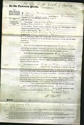 Court of Common Pleas - Margaret Eliza Jones-Original Ancestry