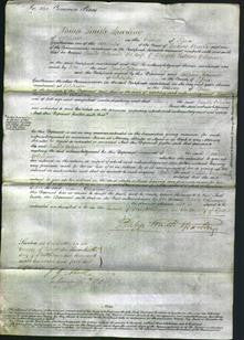 Court of Common Pleas - Emily Coleman-Original Ancestry