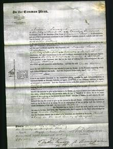 Court of common Pleas - Louisa Watkins-Original Ancestry