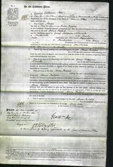 Court of Common Pleas - Maria Pickford-Original Ancestry