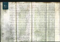 Court of Common Pleas - Elizabeth Faith-Original Ancestry