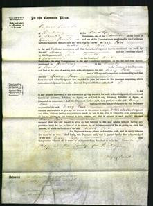 Court of Common Pleas - Mary Parr-Original Ancestry