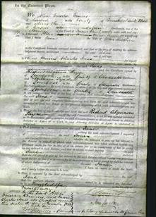 Court of Common Pleas - Jane Sieldorn-Original Ancestry