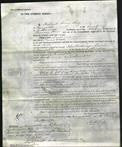 Court of Common Pleas - Sarah Warne-Original Ancestry