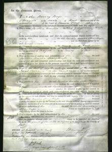 Court of Common Pleas -Caroline Amelia Springthorpe-Original Ancestry