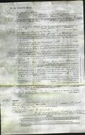 Court of Common Pleas - Jane Ann Watson-Original Ancestry