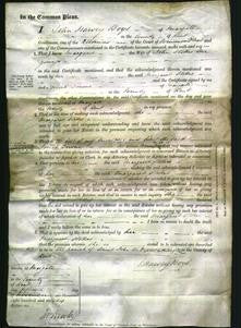 Court of Common Pleas -Margaret Stokes-Original Ancestry