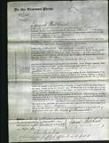 Court of Common Pleas - Mary Anne Watkins-Original Ancestry