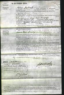 Court of Common Pleas - Frances Mary Hildebreand-Original Ancestry